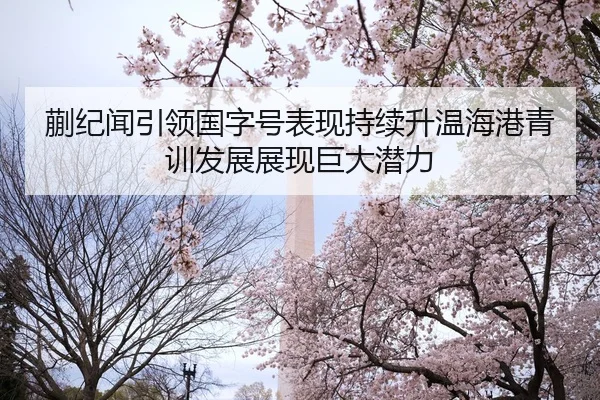 kuai-ji-wen-yin-ling-guo-zi-hao-biao-xian-chi-xu-sheng-wen-hai-gang-qing-xun-fa-zhan-zhan-xian-ju-da-qian-li-2-467.jpg