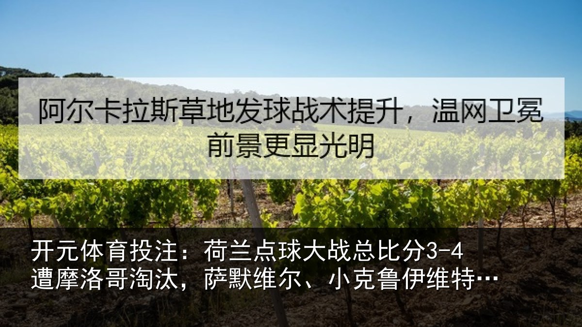 开元体育投注：荷兰相关情况摩洛哥淘汰，萨默维尔、小克鲁伊维特丢点