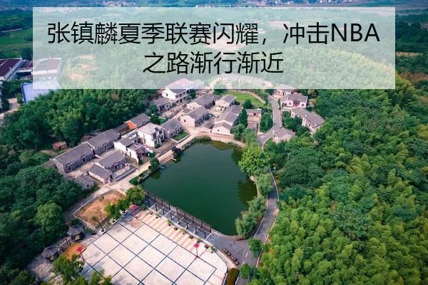 张镇麟夏季联赛闪耀，冲击NBA之路渐行渐近